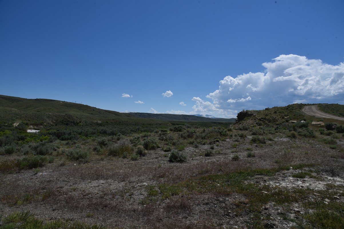 dsc_8119_fs.jpg