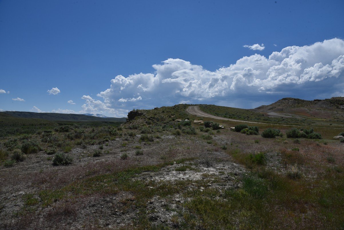 dsc_8120_fs.jpg