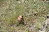 dsc_8124_fs_small.jpg