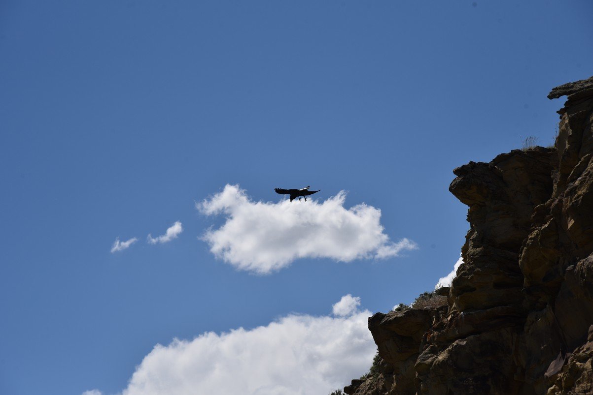 dsc_8125_fs.jpg