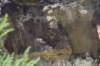 dsc_8128_fs_small.jpg