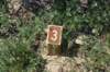 dsc_8130_fs_small.jpg