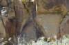 dsc_8142_fs_small.jpg