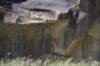 dsc_8146_fs_small.jpg