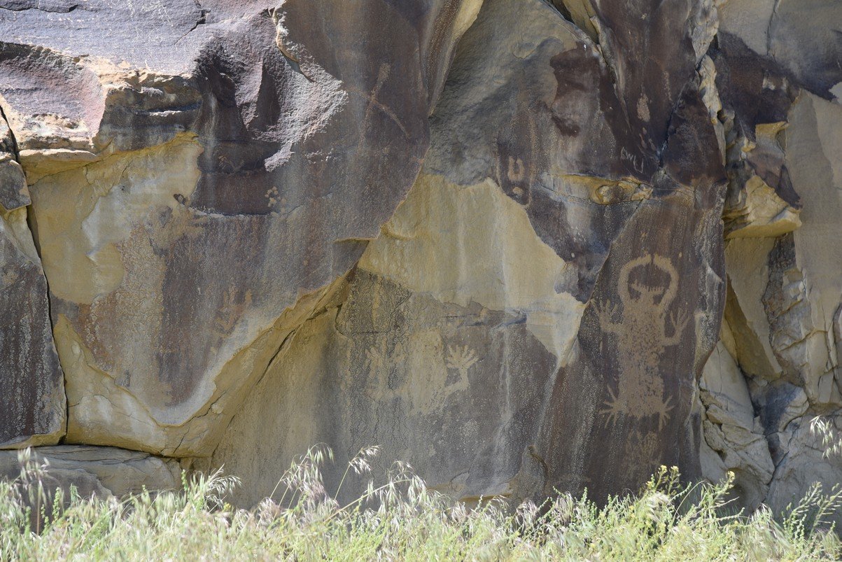 dsc_8147_fs.jpg