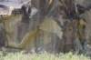 dsc_8147_fs_small.jpg