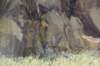 dsc_8148_fs_small.jpg