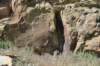 dsc_8150_fs_small.jpg