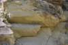 dsc_8153_fs_small.jpg