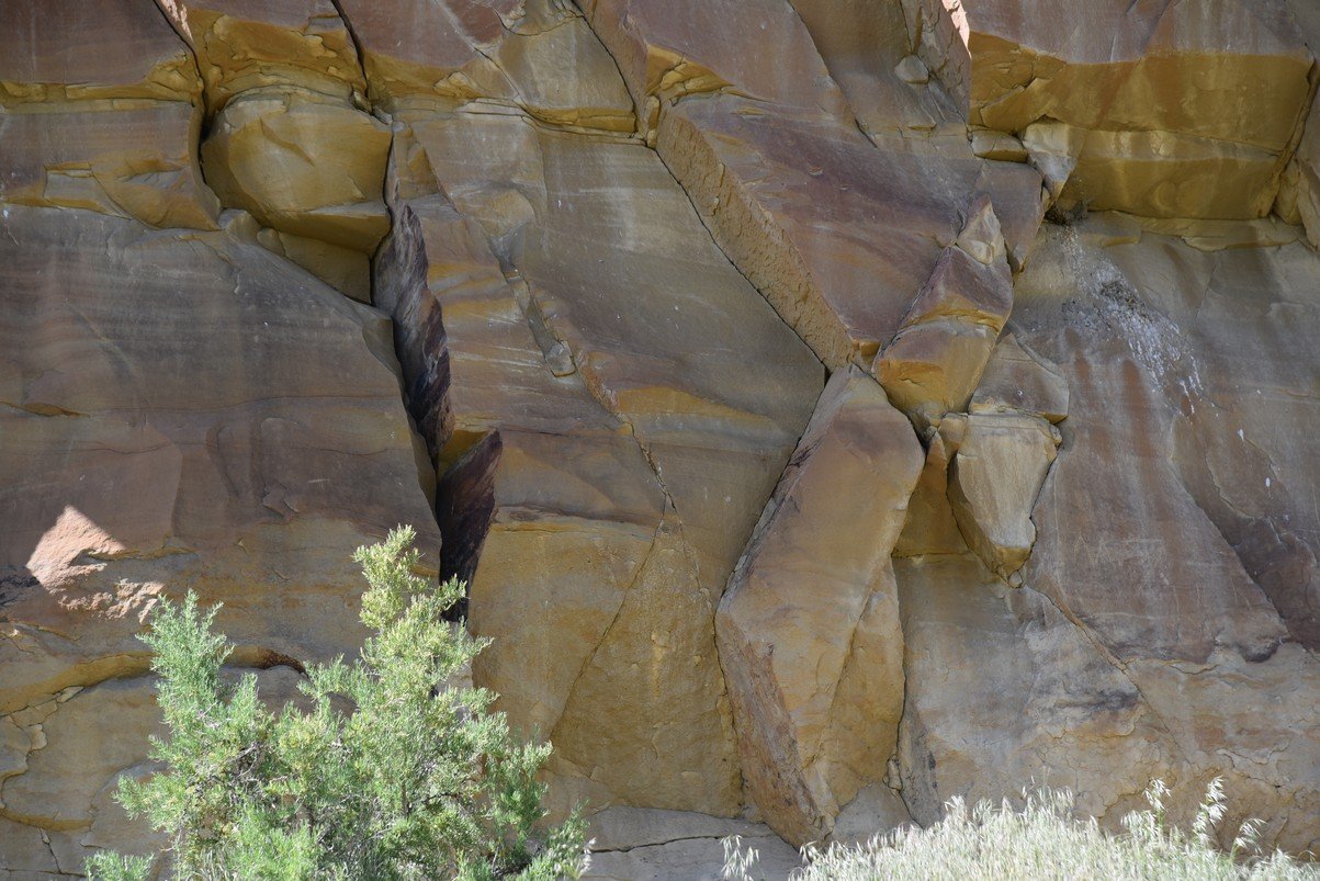 dsc_8221_fs.jpg