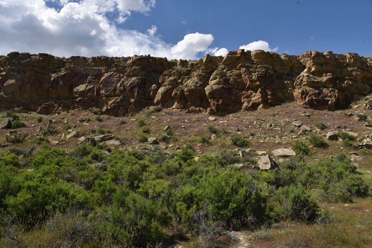 dsc_8224_fs.jpg