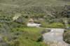 dsc_8234_fs_small.jpg