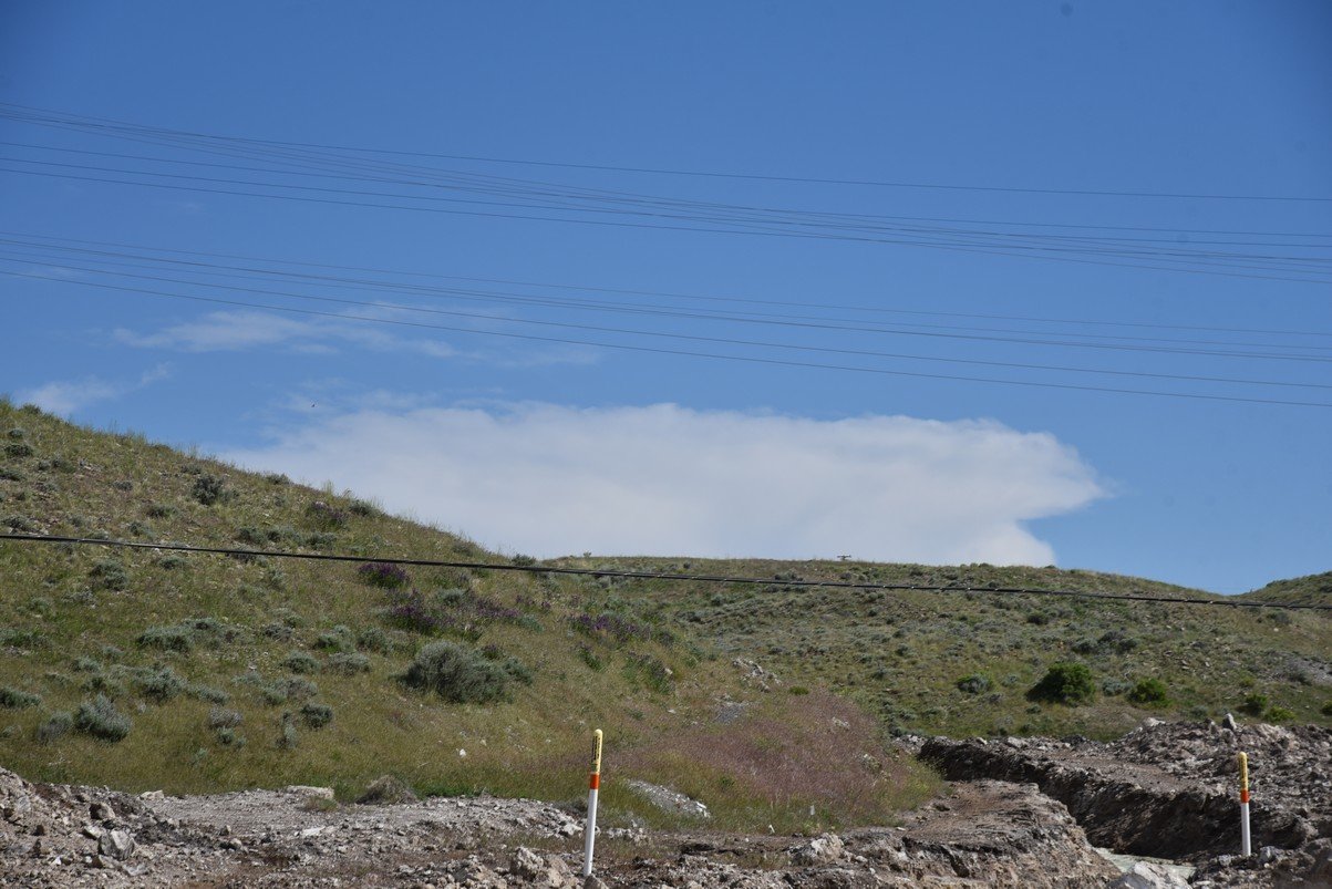 dsc_8266_fs.jpg