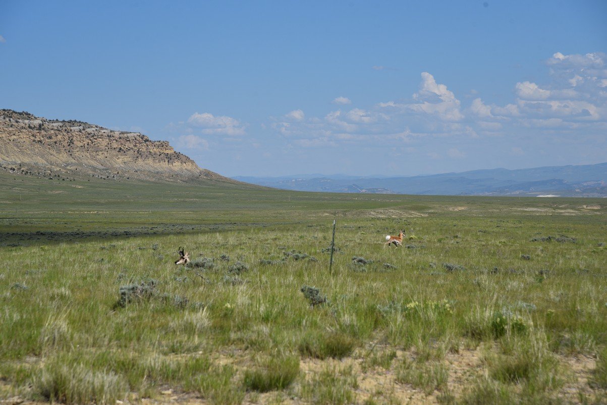 dsc_8290_fs.jpg
