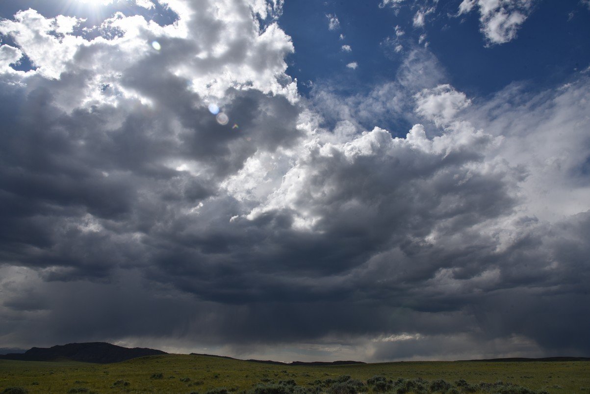 dsc_8301_fs.jpg