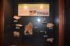 dsc_2624_fs_small.jpg