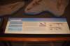 dsc_2637_fs_small.jpg