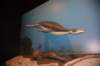 dsc_2640_fs_small.jpg