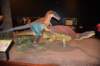 dsc_2643_fs_small.jpg
