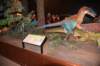 dsc_2644_fs_small.jpg