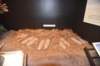 dsc_2646_fs_small.jpg