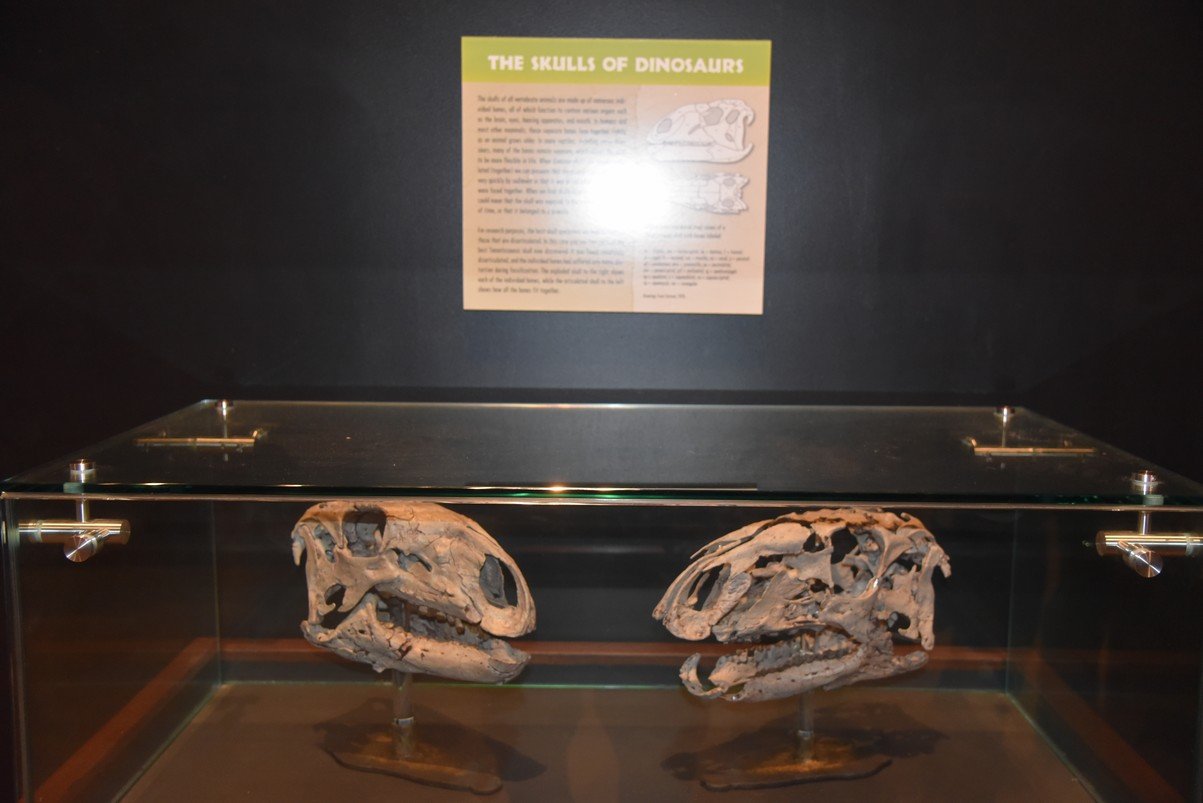 dsc_2651_fs.jpg