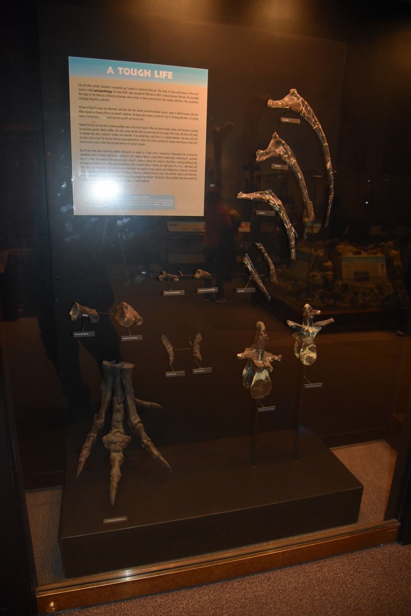 dsc_2656_fs.jpg