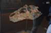 dsc_2660_fs_small.jpg