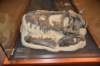 dsc_2687_fs_small.jpg