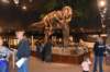 dsc_2688_fs_small.jpg