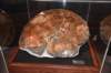 dsc_2689_fs_small.jpg