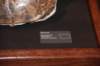 dsc_2690_fs_small.jpg