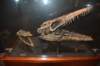 dsc_2691_fs_small.jpg