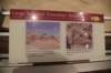 dsc_2693triceratops_small.jpg