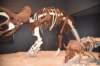 dsc_2698_fs_small.jpg