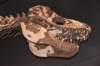dsc_2710_fs_small.jpg
