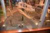 dsc_2720_fs_small.jpg