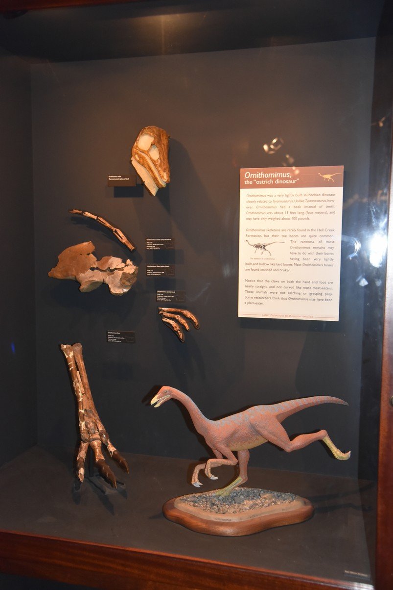 dsc_2729_fs.jpg