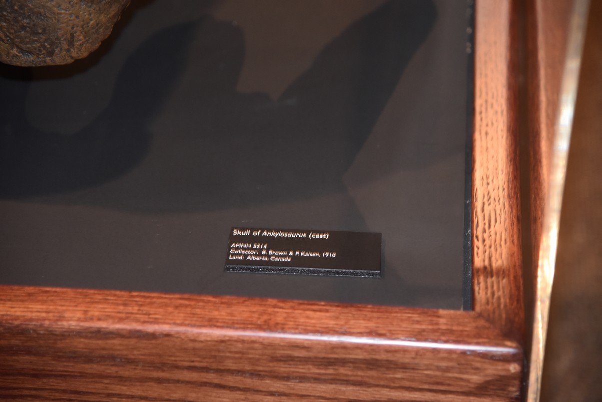 dsc_2733_fs.jpg