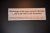 dsc_2742_fs_small.jpg