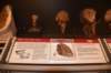 dsc_2743_fs_small.jpg