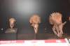 dsc_2744_fs_small.jpg