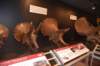 dsc_2754_fs_small.jpg