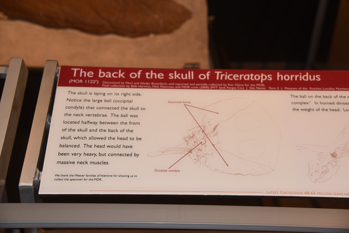 dsc_2765_fs.jpg