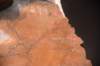dsc_2770_fs_small.jpg