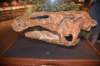 dsc_2771_fs_small.jpg