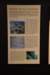 dsc_2774_fs_small.jpg