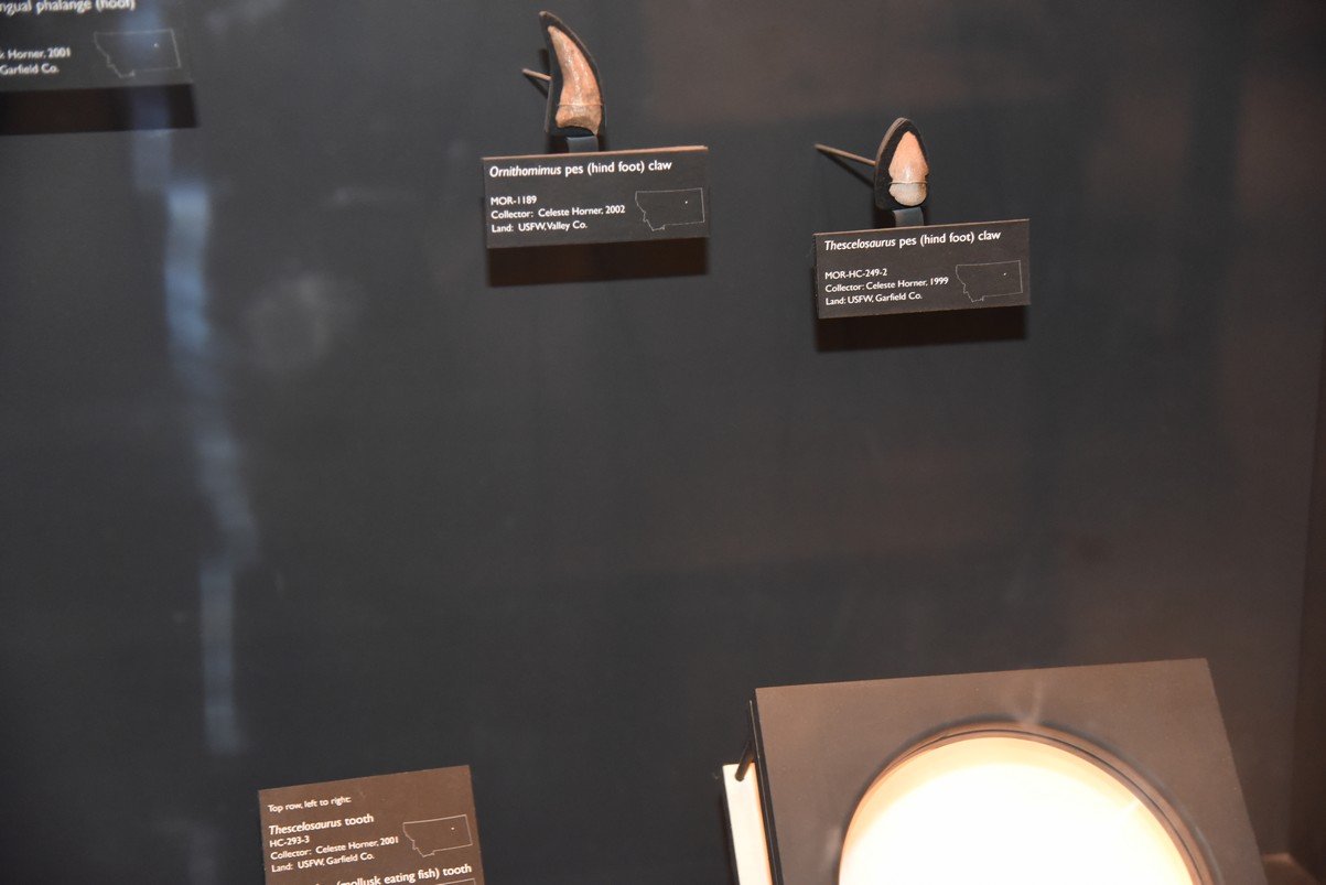 dsc_2784_fs.jpg