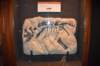 dsc_2786_fs_small.jpg