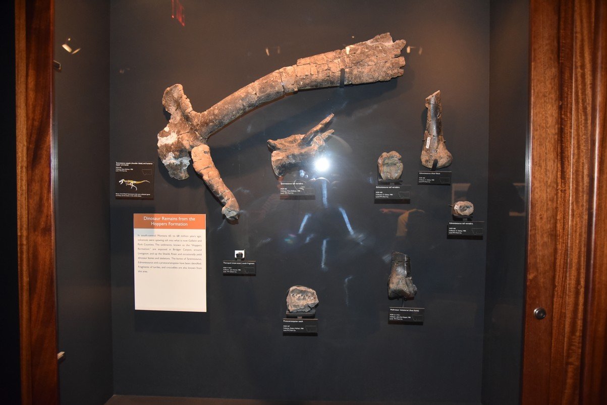 dsc_2788_fs.jpg